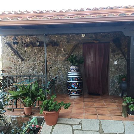Casa Rural Los Olivos Sotoserrano エクステリア 写真