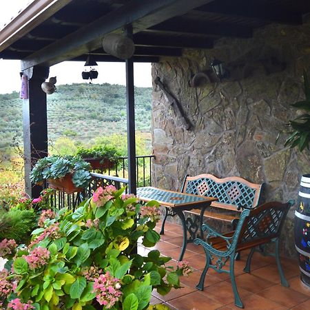 Casa Rural Los Olivos Sotoserrano エクステリア 写真