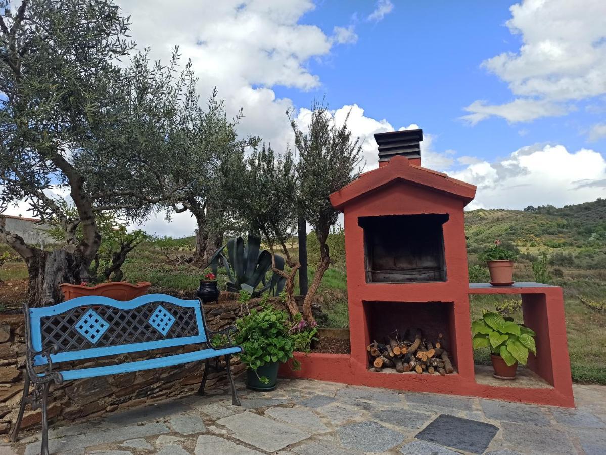 Casa Rural Los Olivos Sotoserrano エクステリア 写真