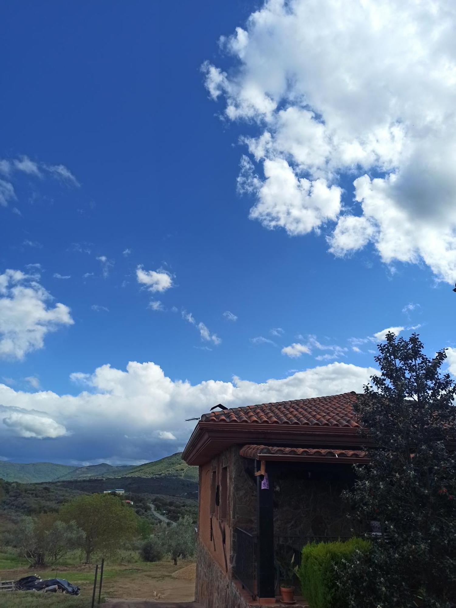 Casa Rural Los Olivos Sotoserrano エクステリア 写真