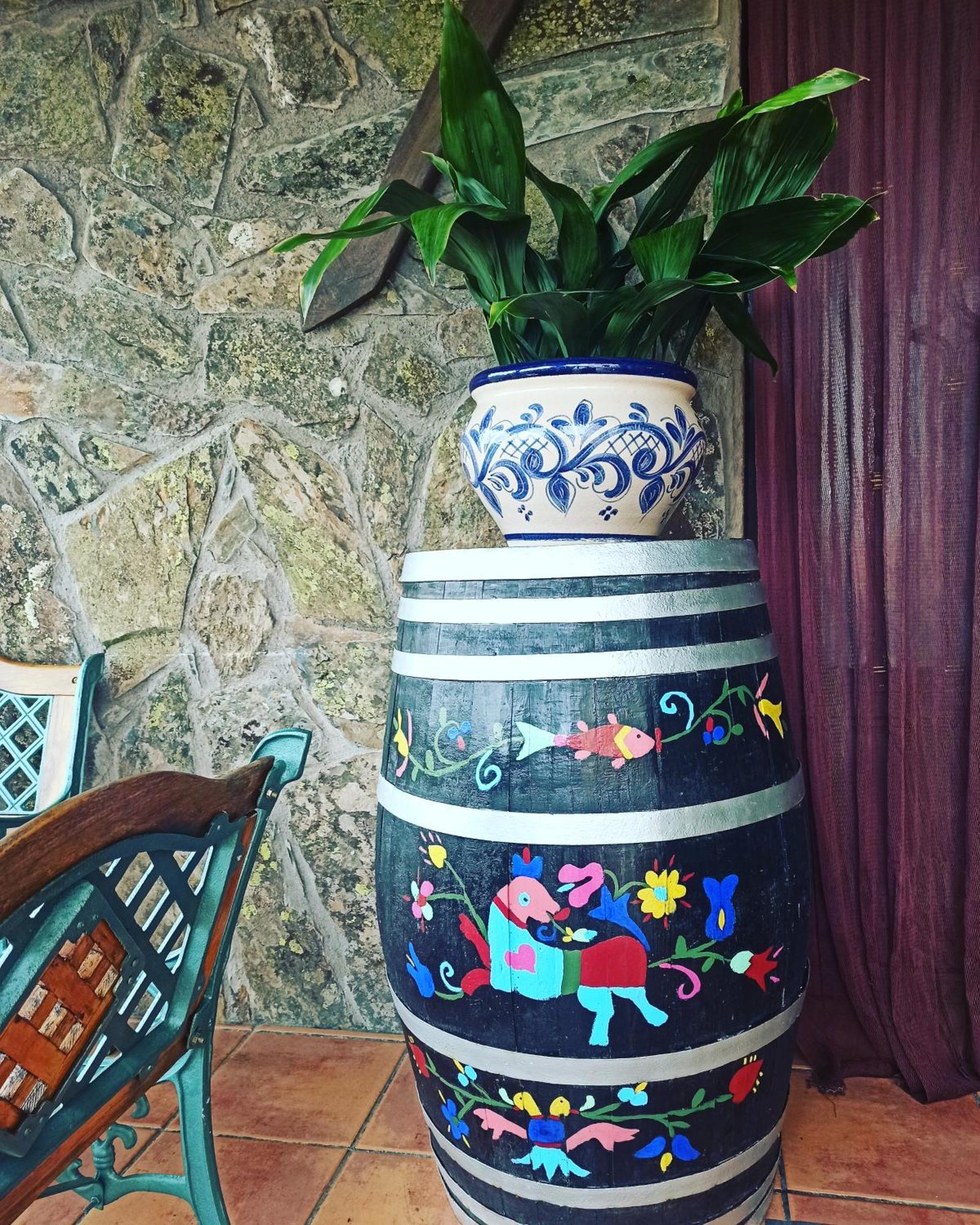 Casa Rural Los Olivos Sotoserrano エクステリア 写真