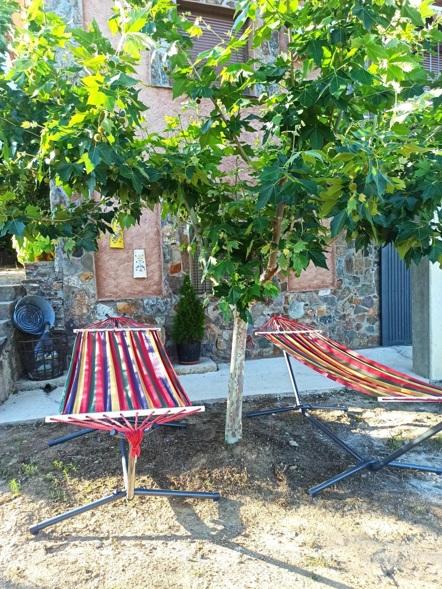 Casa Rural Los Olivos Sotoserrano エクステリア 写真