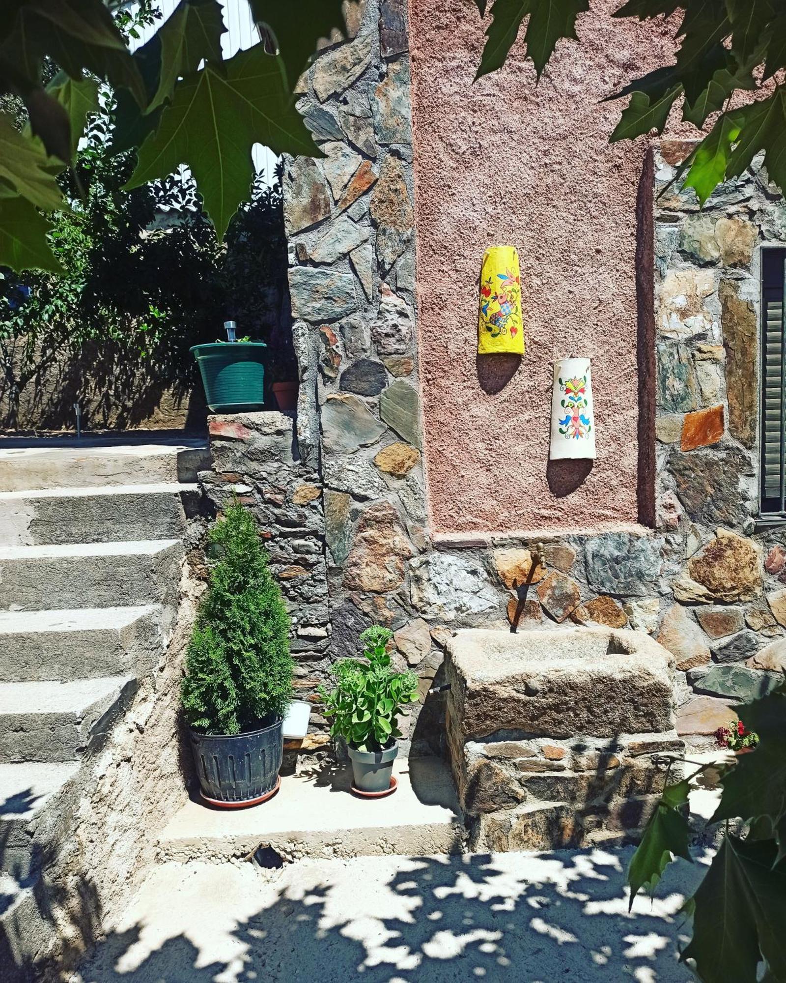 Casa Rural Los Olivos Sotoserrano エクステリア 写真