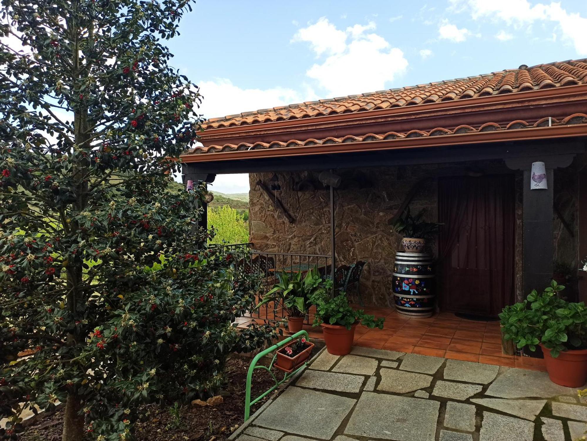 Casa Rural Los Olivos Sotoserrano エクステリア 写真