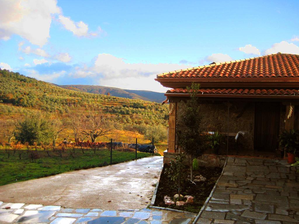 Casa Rural Los Olivos Sotoserrano エクステリア 写真